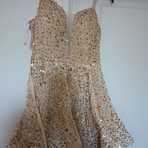 Sequin Embellished Dress